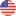 usa flag